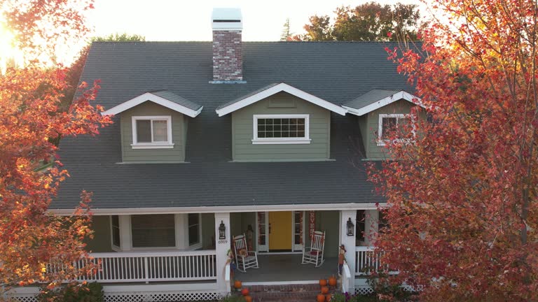 Best Solar Panel Roofing Installation  in Johnston, SC